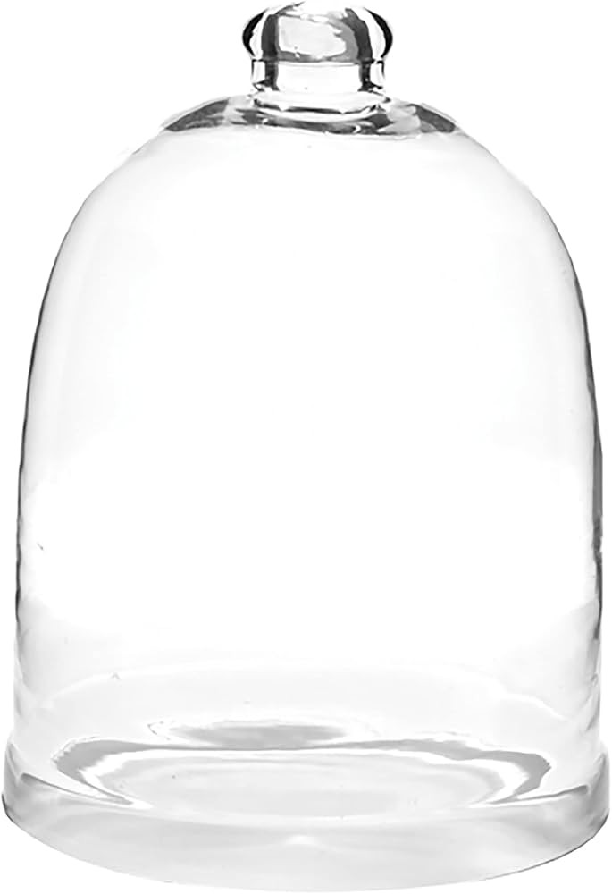 Park Designs Glass Bell Cloche 12” H | Decorative Clear Glass Dome for Home Décor | Elegant Di... | Amazon (US)