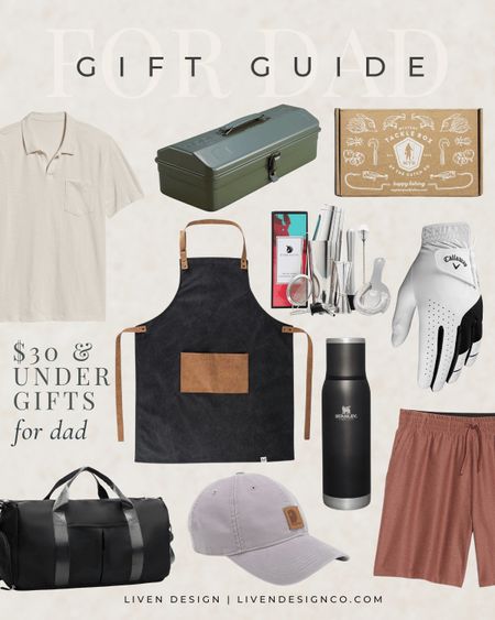 Father's Day gift guide. Gift for him. Dad gift ideas. Grill gift. Sport active gift. Fishing. Outdoors. Apron. Cooking. Men's shorts. Men's active. Men's polo. Men's cap. Golf gift. Under $30. 

#LTKGiftGuide #LTKfindsunder50 #LTKmens