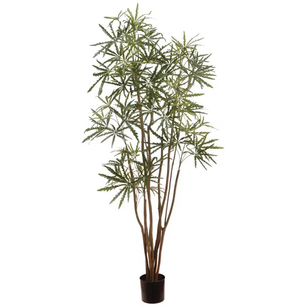 72'' Faux Aralia Tree in Pot | Wayfair North America