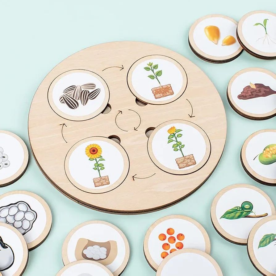 Wooden Life Cycle Toy Tray, Wooden Preschool Learning Activities Puzzles, Montessori Homeschool P... | Amazon (US)