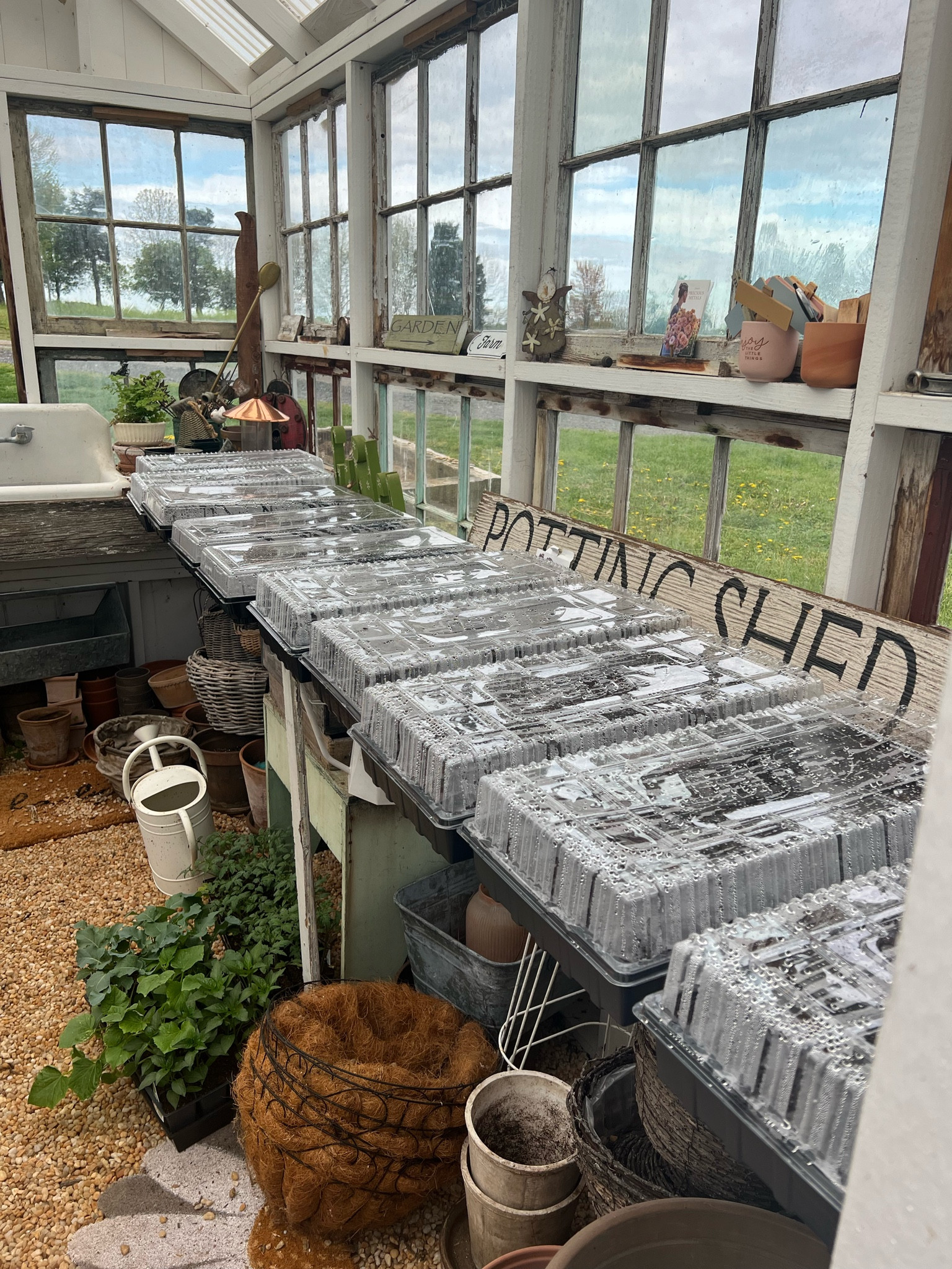 Plant season is here 🌱 I use these seed trays every year and it always turns out great! 

#LTKSeasonal #LTKxMadewell #LTKhome