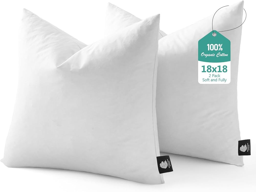 BPC Luxury Feather Down 18x18 Pillow Inserts Set of 2, Soft Fluffy Throw Pillow Inserts, 100% Org... | Amazon (US)