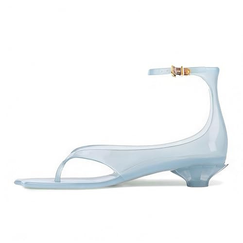 KISSASA Jelly Sandals Shoes for Women Fip Flop Kitten Heel Sandals Clear Ankle Strap Thong Heels Summer Low Heeled Summer Dress Shoes Blue Size 8.5 | Amazon (US)