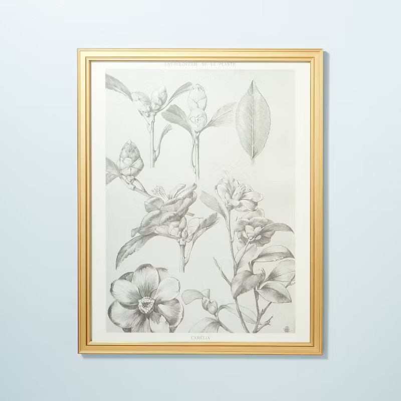 24" x 30" Botanical Sketch Framed Wall Art - Hearth & Hand™ with Magnolia | Target
