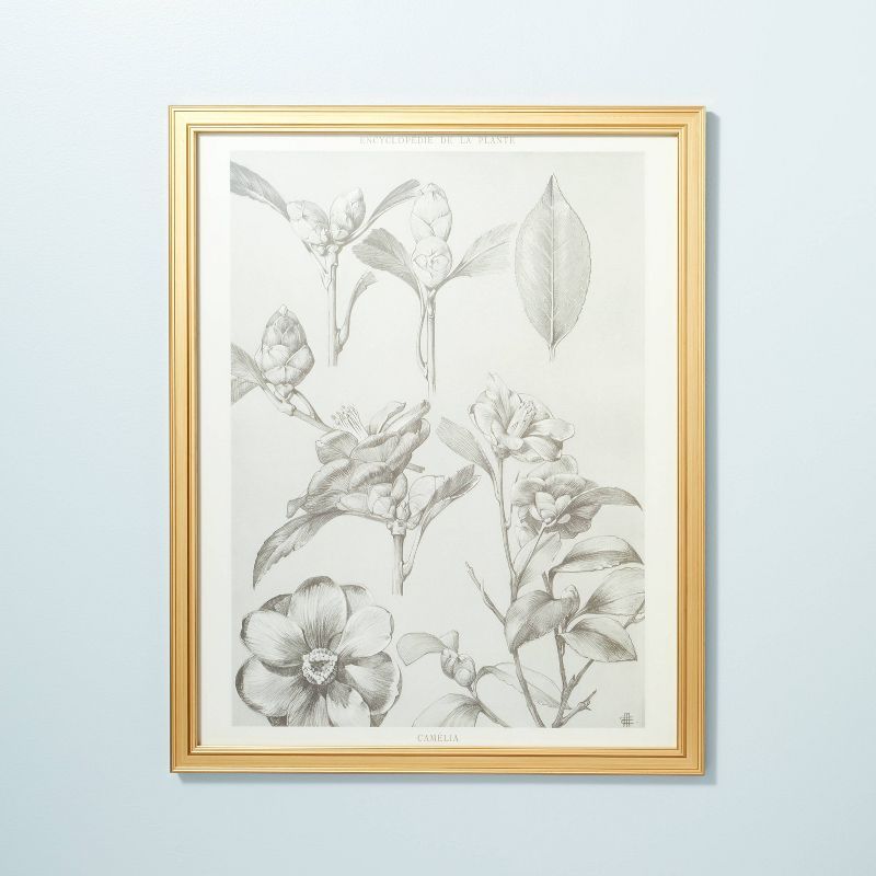 24" x 30" Botanical Sketch Framed Wall Art - Hearth & Hand™ with Magnolia | Target