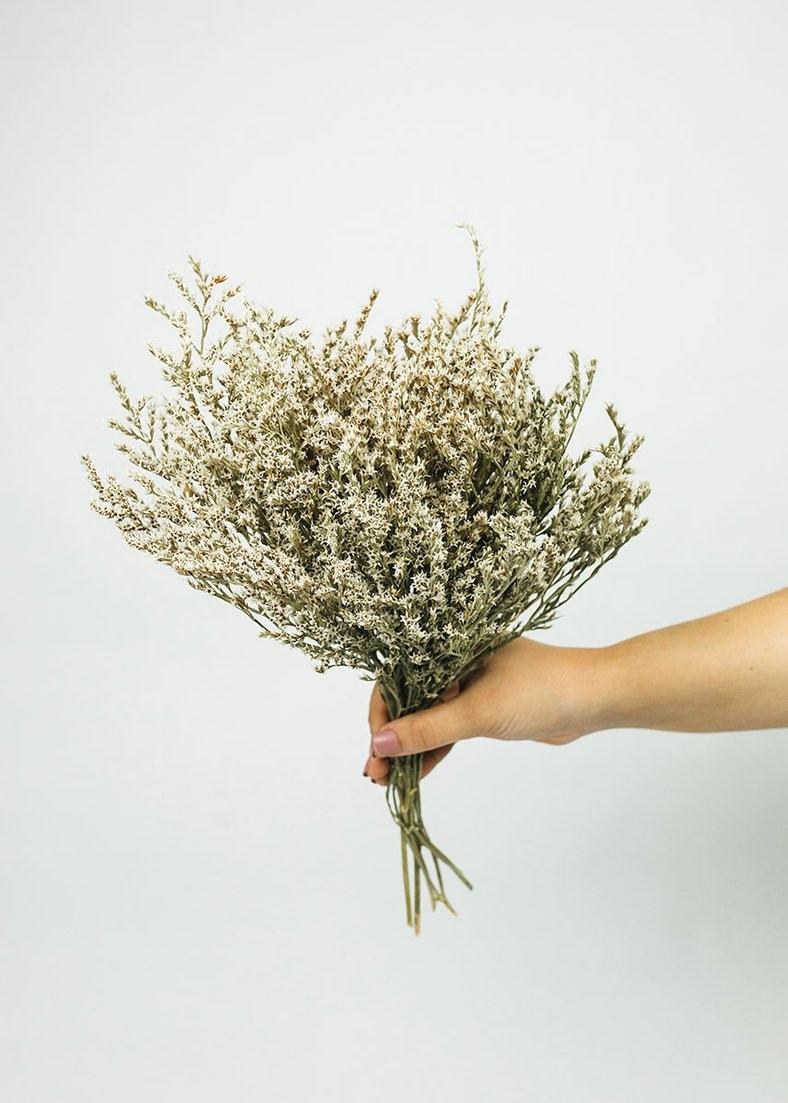 Dried German Statice | Afloral (US)