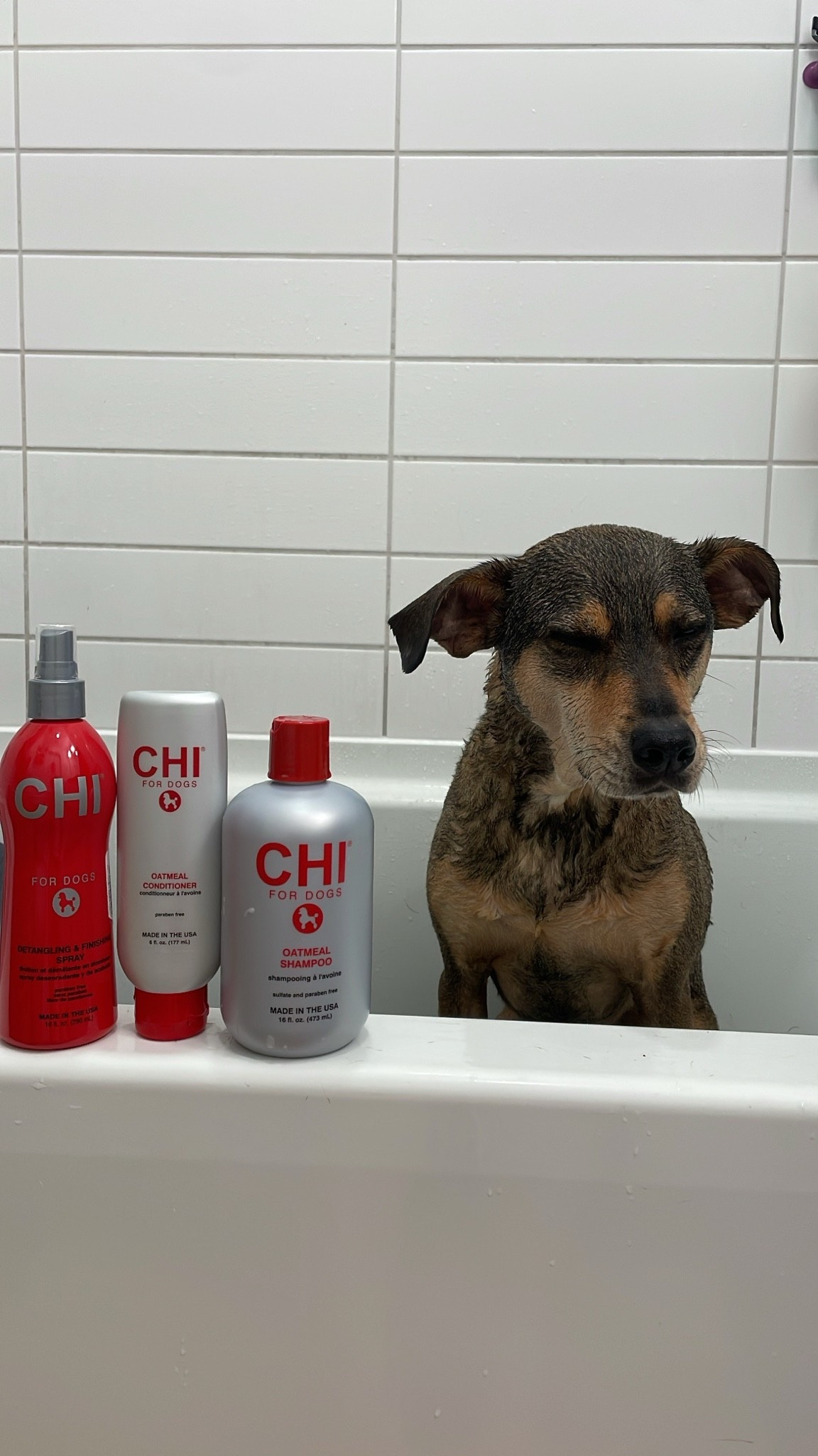 Dog wash day 🫧

#LTKselfcare #LTKdayinmylife