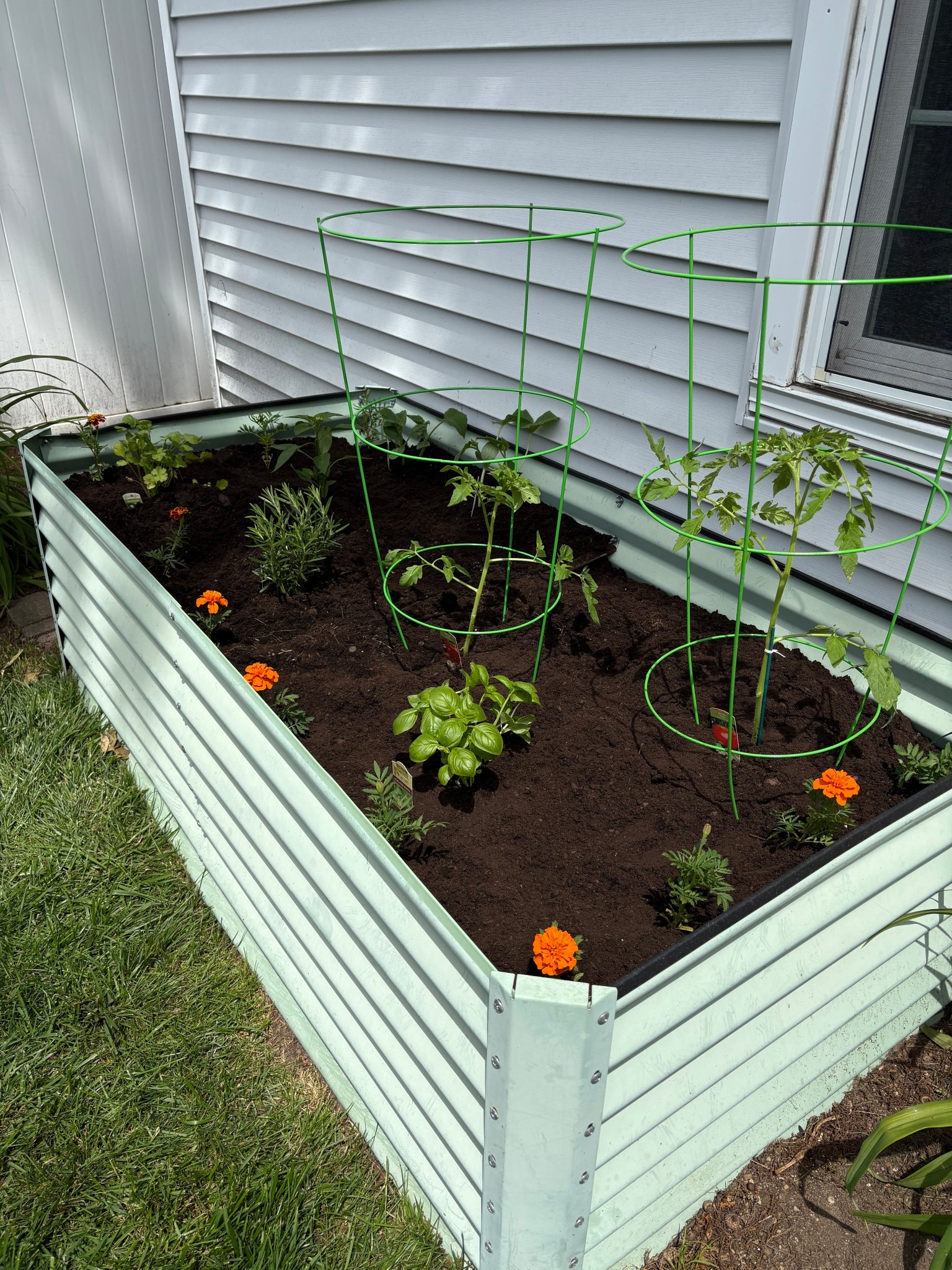 My little happy place🪴 linked from Amazon! This is the 6ft x 3 x 2 garden bed in the sage green #LTKhome #AmazonFinds 

#LTKHome #LTKSeasonal #LTKFindsUnder100