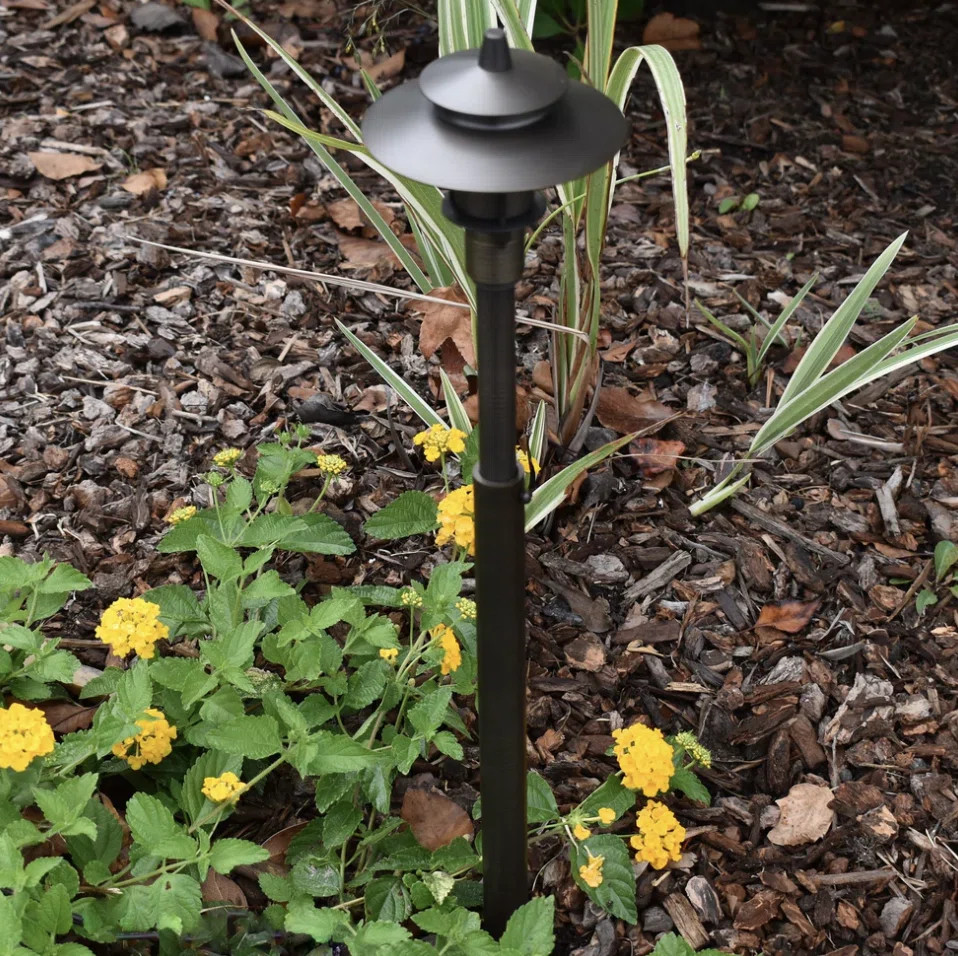 Cardon Lighting Natural Bronze Low Voltage Solid Cast Brass Pathway Light | Wayfair | Wayfair North America