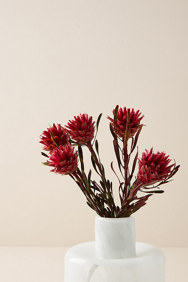 Dried Plumosum Bouquet By Anthropologie in Purple Size ALL | Anthropologie (US)