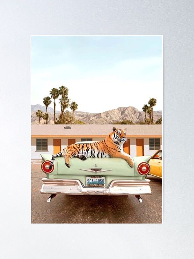 Tiger Motel  Poster | Redbubble (US)