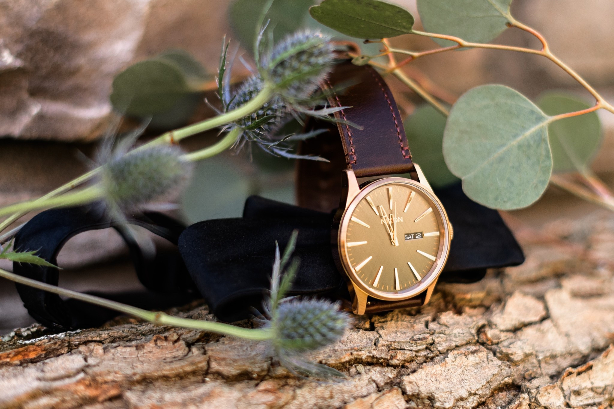 My Husband’s wedding watch 

Linking similar ones he was eyeing 

#LTKStyleTip #LTKMens #LTKBeauty