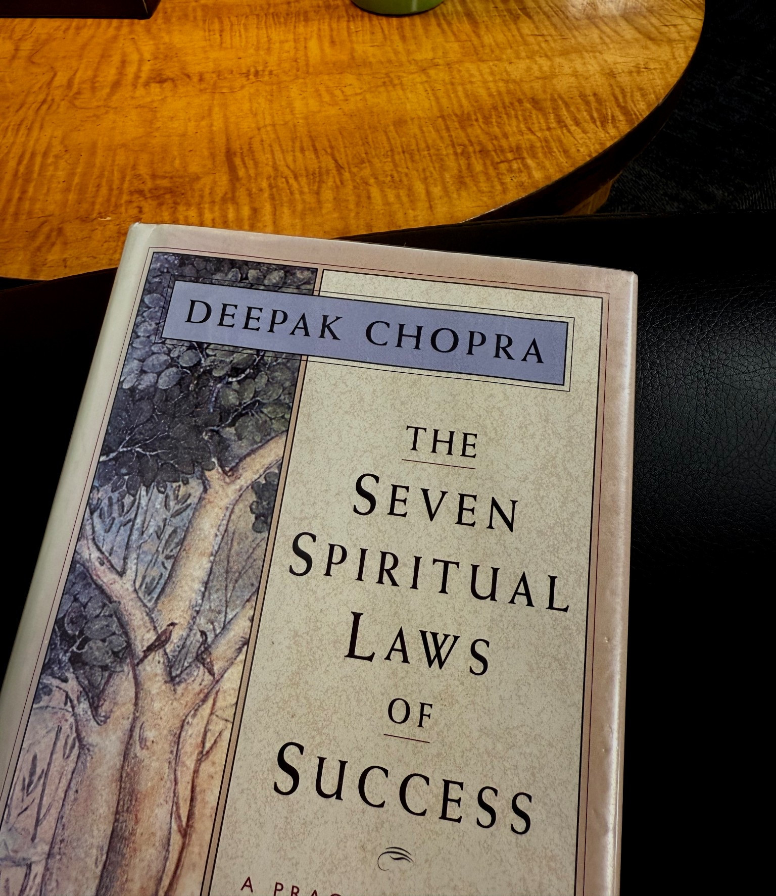 what I’m currently reading 🤍
this book is all about alignment, energy, and attracting success effortlessly. It can completely change the way you think about success and your life. :) ☪️ 

#LTKselfcare