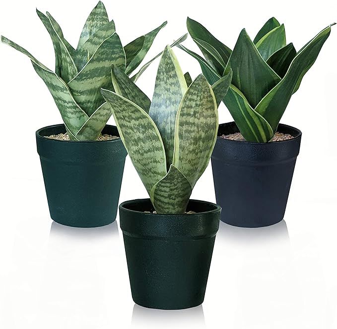 Vaxter Decor Artificial Small Sansevieria Snake Plant Potted Set of 3 Faux Tabletop Greenery Hous... | Amazon (US)