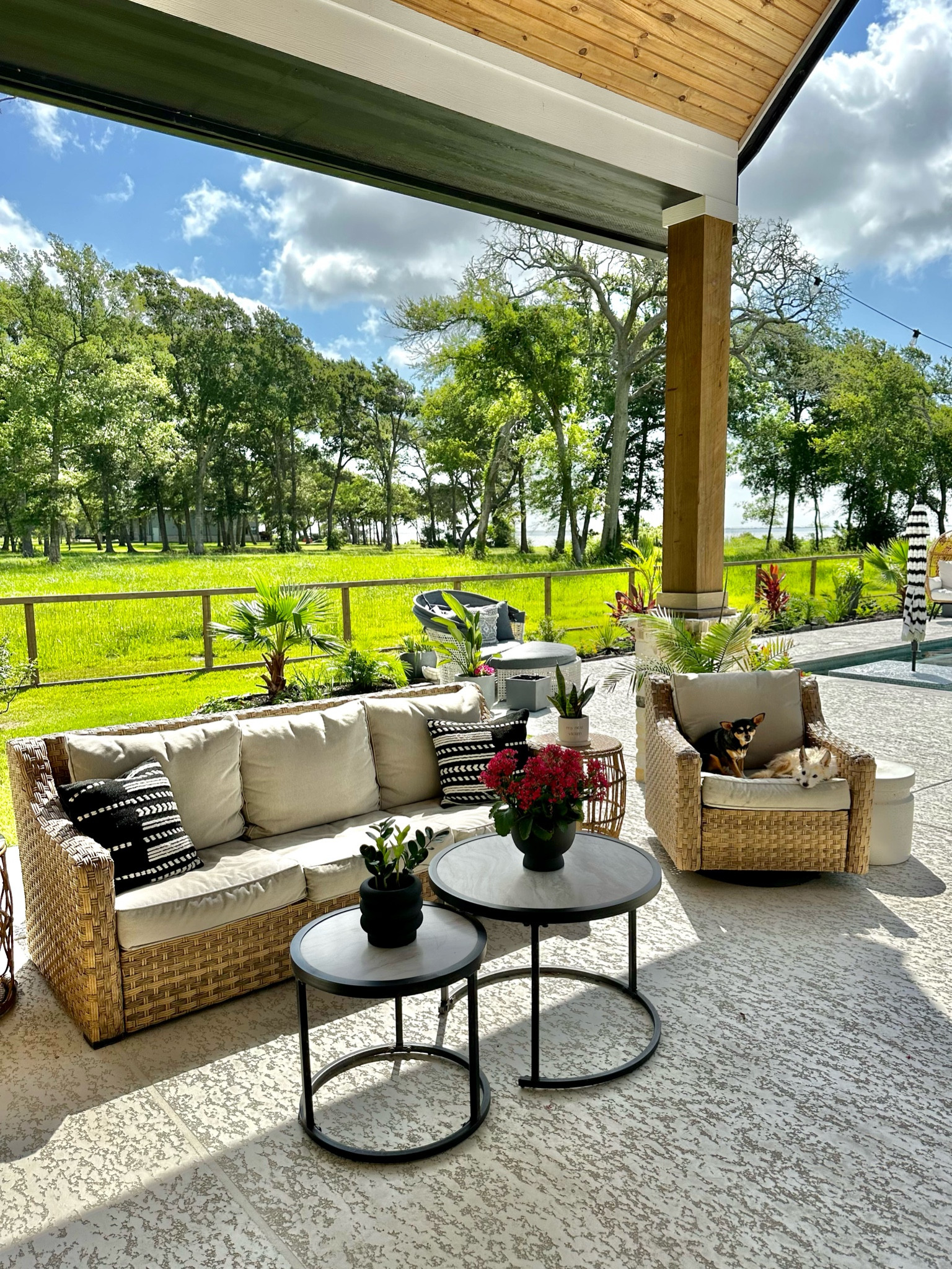 Favorite patio decor and furniture from @walmart #ad #walmarthome #walmart #iywyk #patio #outdoordecor

 Summer, summer finds, summer favorites, summer porch, summer decor, summer outdoor inspiration, outdoor decor, porch finds, porch favorites, porch inspiration, porch decor, porch furniture, black planters, black porch swing, woven hanging planter basket, garden bed with stand, pillar candle lantern, outdoor rug, wicker outdoor lantern, welcome half moon doormat, outdoor door mat, porch wall light, porch sconces, wood stump accent table, throw pillow, outdoor pillow, Modern home decor, modern planter pot, black pot, plant pot, black home decor, affordable patio set, affordable outdoor furniture set, Black patio furniture, modern patio furniture, arhaus dupe, crate and barrel dupe, Serena and Lily dupe

#LTKhome #LTKFind #LTKSeasonal