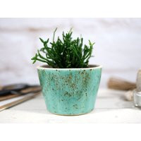 Simple Ceramic Planter/Handmade Plant Pot For Succulents, Air Plants, Cactus | Tabletop Desk Decor New Home Gift Garden | Etsy (US)