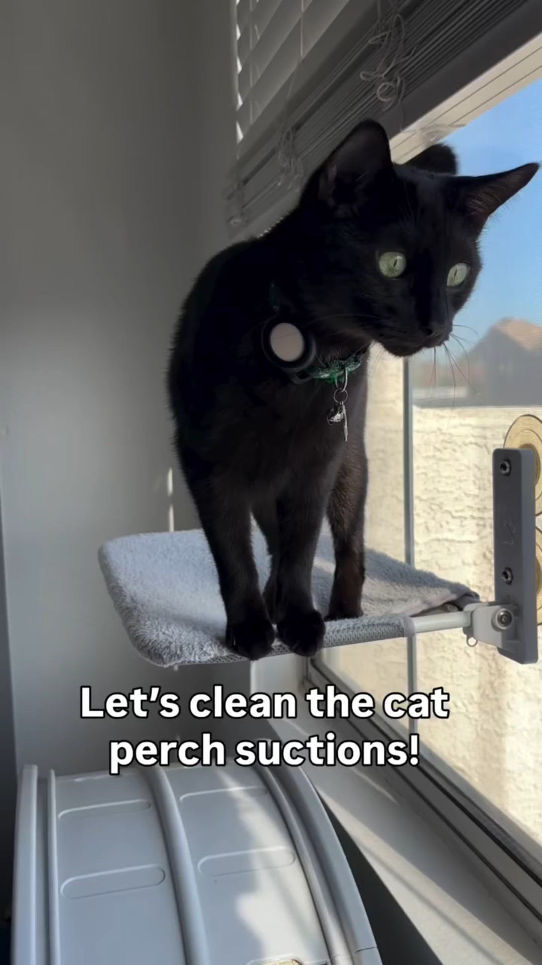 Our cat's fave spot just got a little DIY love! We were bummed when the suction stopped working on our kitty's window perch, but luckily the fix was a breeze!