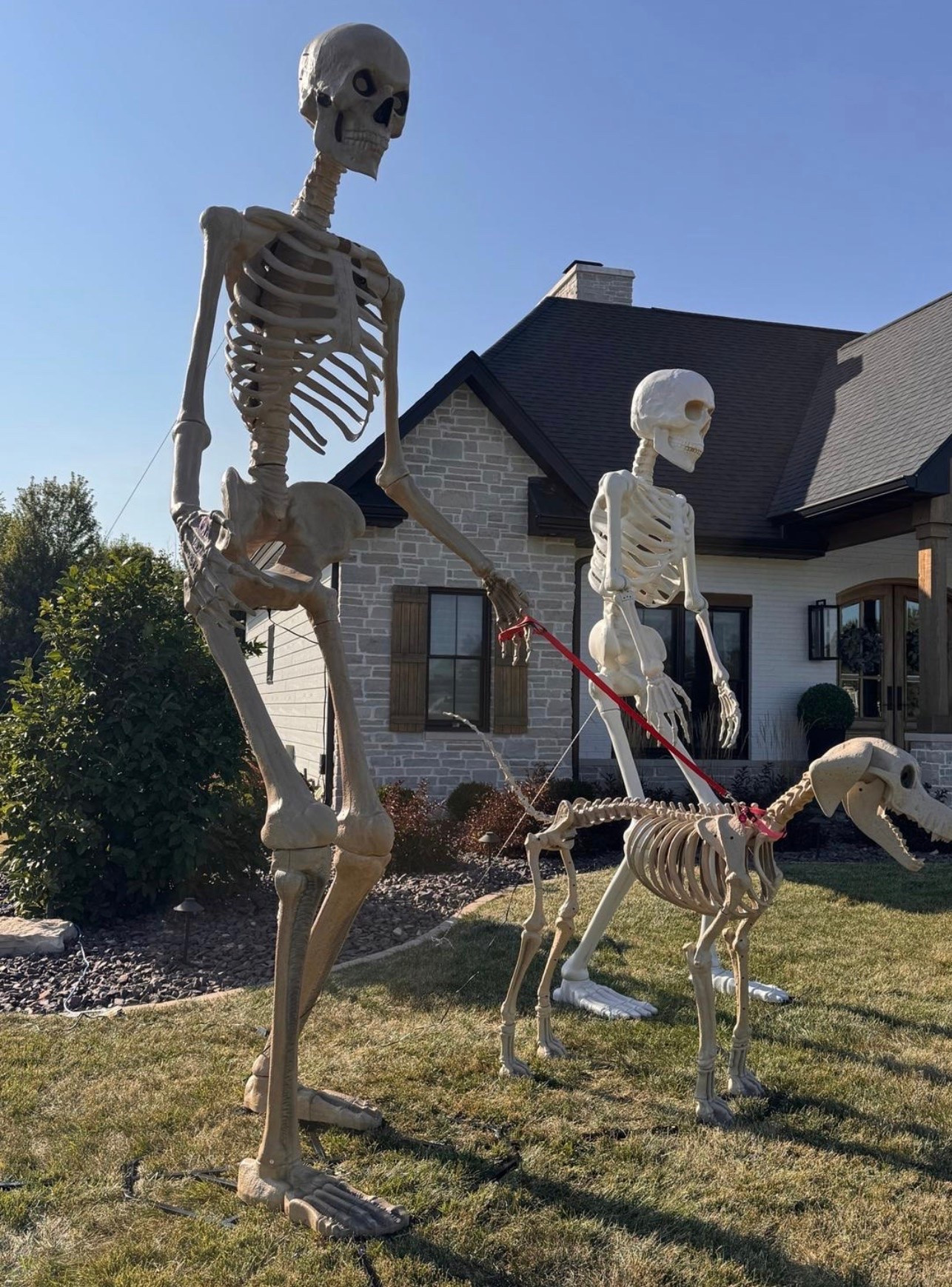 Halloween decor | giant skeleton

#LTKHome