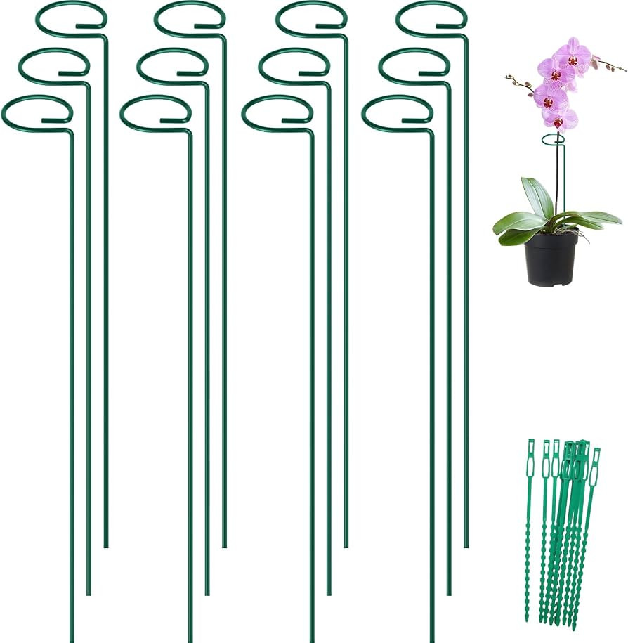 36 Inch 12 Pack Plant Support Stakes, Metal Garden Flower Stakes and Supports for Outdoor Plants,... | Amazon (US)