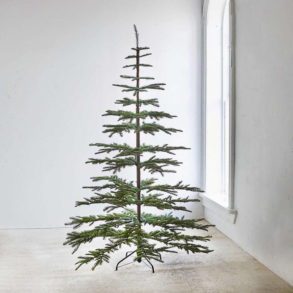 Faux Silvertip Fir | Terrain