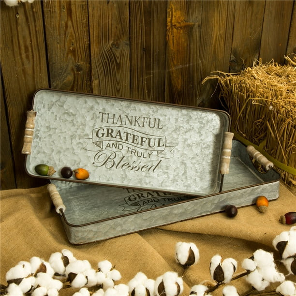 Glitzhome S/2 Metal Rectangle Galvanized Tray In Same Size | Walmart (US)