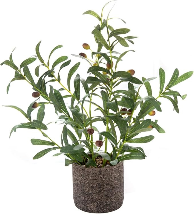 AlphaAcc 18 Inch Artificial Olive Branches Real Looking Potted Plant Fake Olive Tree with Lifelik... | Amazon (US)