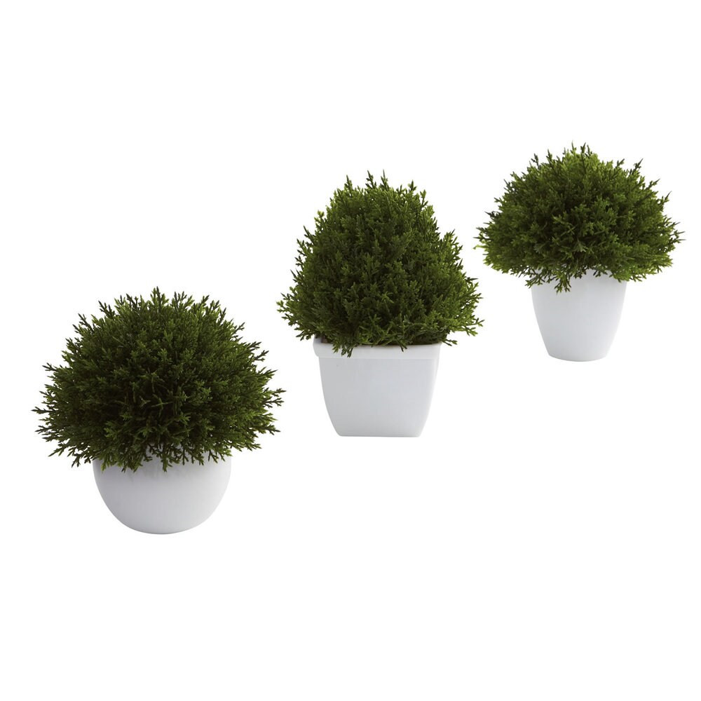 Mixed Cedar Topiary Collection Decorative Plants (Set of 3) (Just Because - Topiary - Planter) | Bed Bath & Beyond