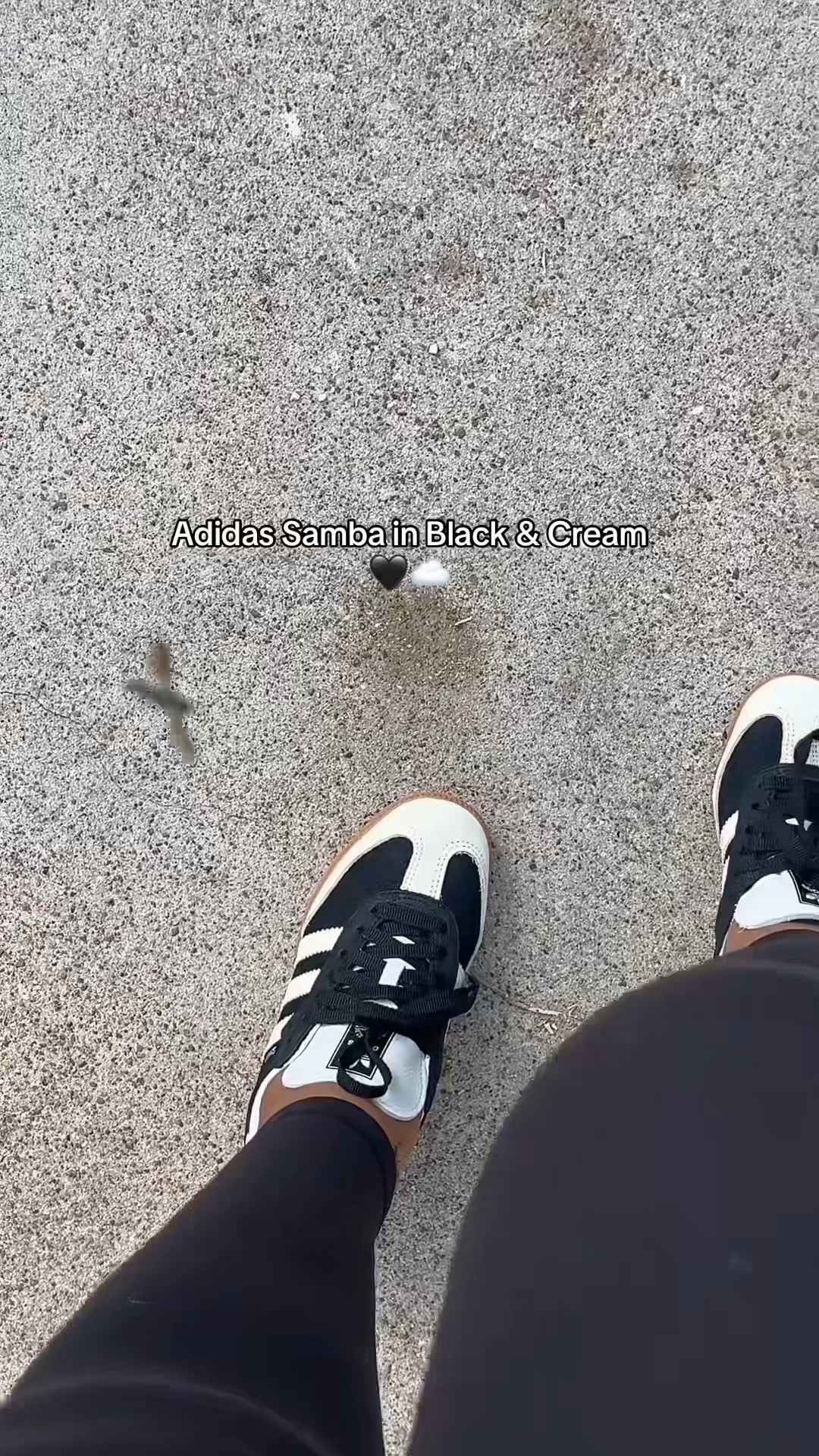 Size down 1/2 size 
Sneakers 
Adidas 


Follow my LTK @the_lynnai on the @shop.LTK app to view this post and get my exclusive app-only content!

#liketkit #LTKFindsUnder100
@shop.ltk
https://liketk.it/5J7f8

Follow my LTK @the_lynnai on the @shop.LTK app to view this post and get my exclusive app-only content!

#liketkit 
@shop.ltk
https://liketk.it/5JZpC

Follow my LTK @the_lynnai on the @shop.LTK app to view this post and get my exclusive app-only content!

#liketkit #LTKSeasonal #LTKActive
@shop.ltk
https://liketk.it/5PVgF