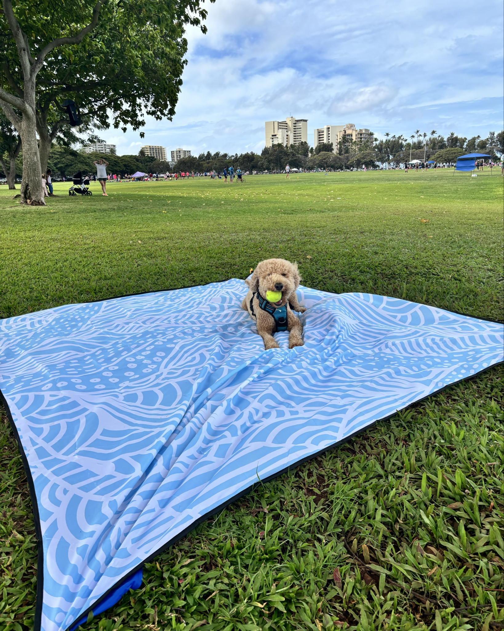 This beach mat is one of my BEST Amazon finds 🙌✨

It’s lightweight, folds up super compact, and the corners stake down so it doesn’t fly away in the wind (game changer). Perfect for beach days, park hangs, or even outdoor workouts.

It folds up nicely and includes a drawstring bag to carry it in.  Comes in a variety of colors and designs too!  

#LTKTravel #LTKSeasonal #LTKHome