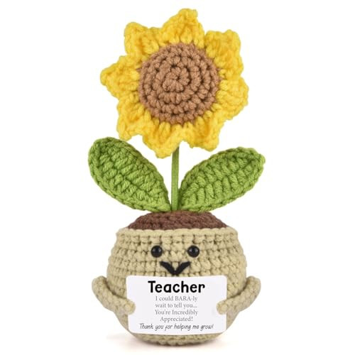 linzipe Teacher Appreciation Gifts,Teacher Gifts for Women | Amazon (US)