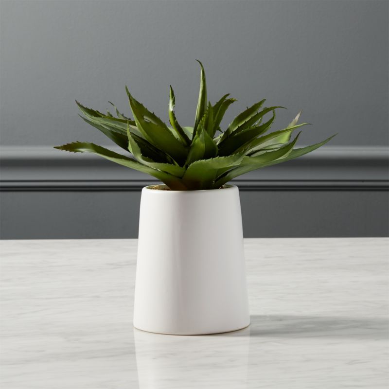 Potted Faux Aloe 9"In stock and ready to ship.ZIP Code 19019Change Zip Code: SubmitClose$19.95(4.... | CB2