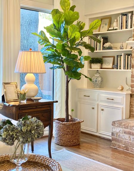 I have linked my fiddle leaf tree in my family room.  I cant link the basket it is in (it was a Home Goods find), but I have listed the measurements of the one I have for comparison!  I have linked some similar options as well.  I also linked some other great fiddle leaf options at a variety of sizes and prices!

My basket measurements: 
16” Diameter 
14” Height

#LTKstyletip #LTKhome