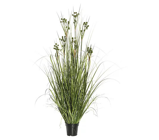 Vickerman 60" PVC Artificial Potted Green Grasswith Pomp Ball - QVC.com | QVC