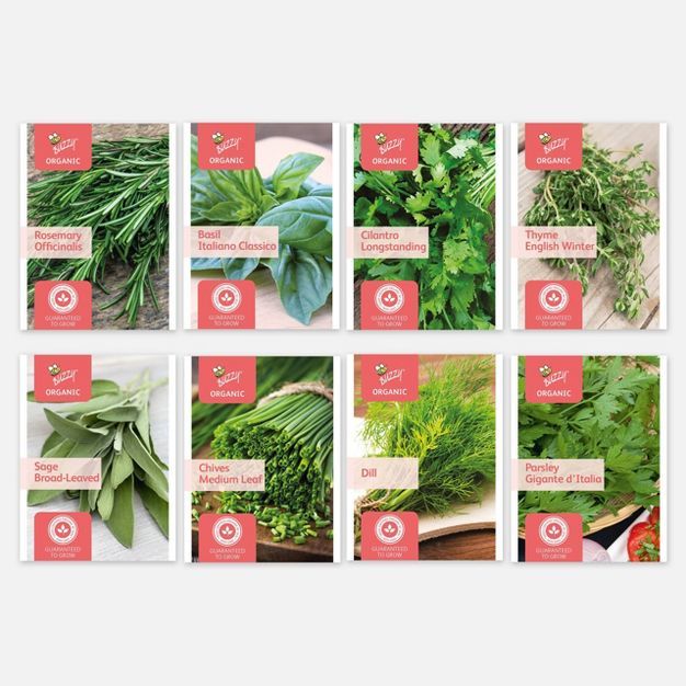 Buzzy Seeds Organic Herb Seed Pack Collection 8 Varieties | Target