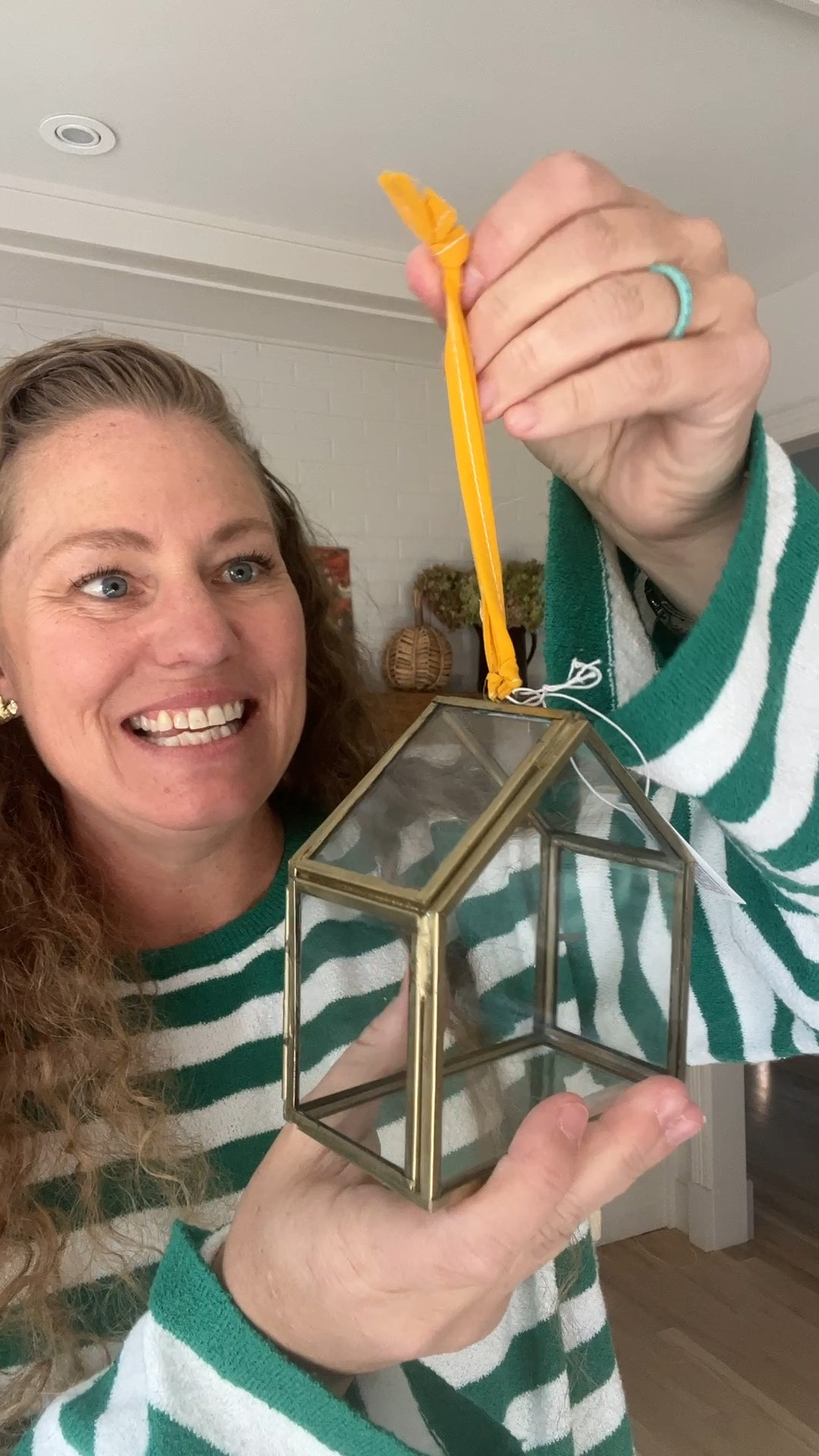 Terrain has the BEST ornaments! This fillable greenhouse is my favorite and I will be adding zinnias of course! Currently on sale too!

#LTKHome #LTKHoliday #LTKSaleAlert