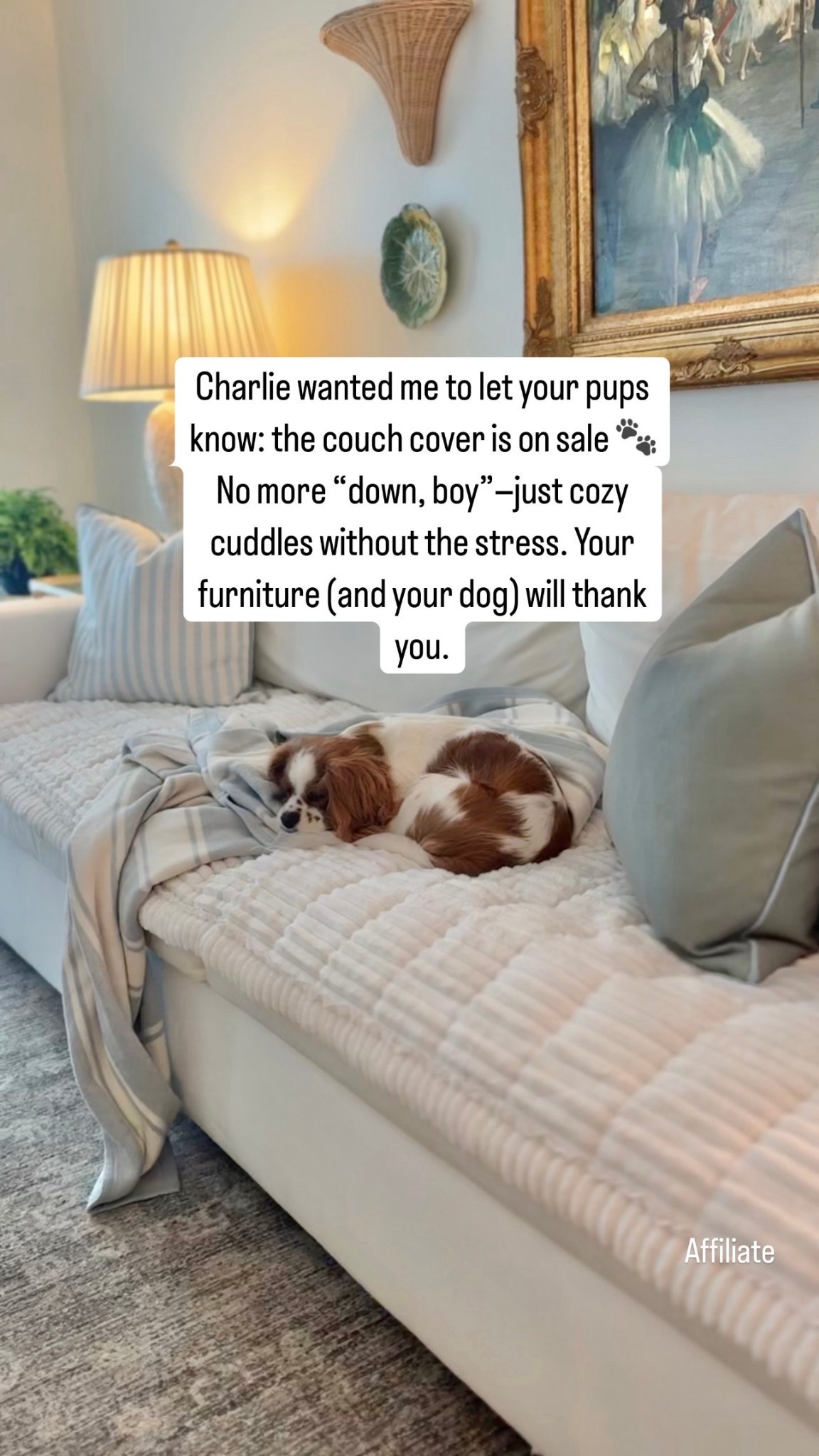 Buying a couch cover for a white sofa has made cuddling with our dog so much less stressful! Pet lover, dog lover, sofa protection, couch protection, family couch ideas, classic home, Amazon finds, prime day dealss

#LTKSaleAlert #LTKHome #LTKPets