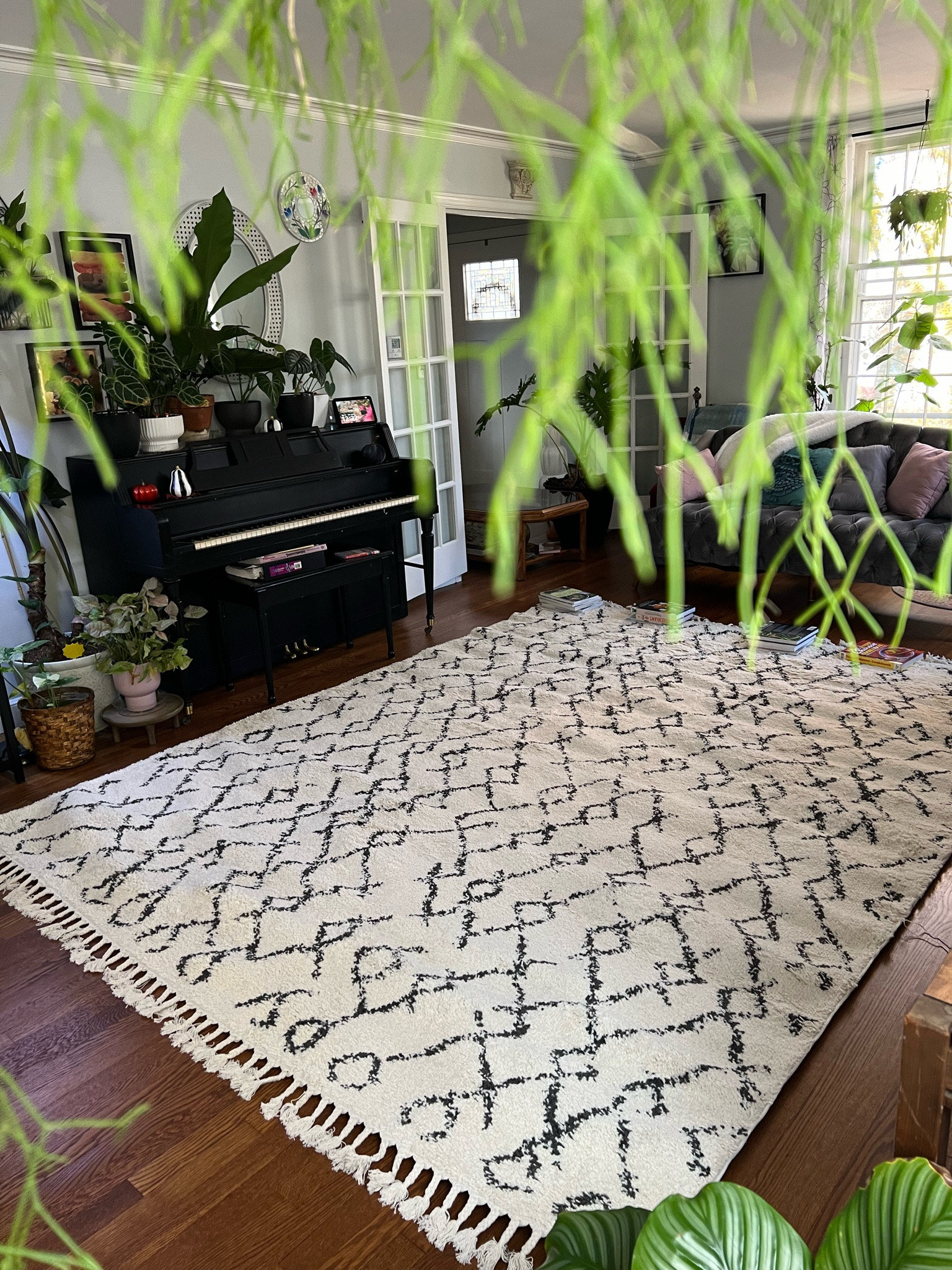 In love with my new living room rug! The Pahala Barber Shag rug is so stunning!

#LTKHoliday #LTKHome #LTKGiftGuide