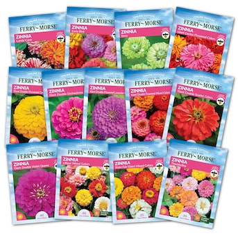 Ferry-Morse Ferry Morse Zinnias Galore Flower Seed Variety Pack 13 Pack | Lowe's