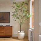 Faux Maple Potted Tree | West Elm (US)