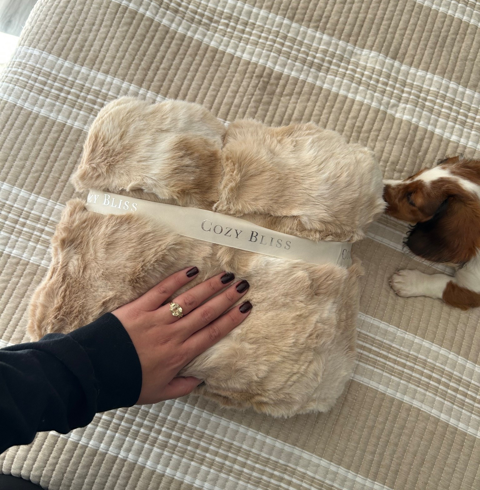 Lola Blankets Dupe! 🍁🍂 found the SOFTEST blanket on Amazon! Perfect for my fall bedding reset! ☁️

Amazon Home
Amazon Home Finds
Amazon Bedding
Amazon Bedroom
Amazon Bedroom Finds
Lola Blankets 
Lola Blanket Dupe
Lola Blankets Dupe 
Amazon Home Finds
Amazon Bedding 
Amazon Finds
Amazon Prime
Lola Blanket 
Faux Fur Blanket 

#LTKSeasonal #LTKHome #LTKFindsUnder50