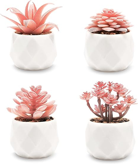 VIVERIE Pink Faux Succulents in White Ceramic Pots (Set of 4) - Mini Life-Like Artificial Rose Pi... | Amazon (US)
