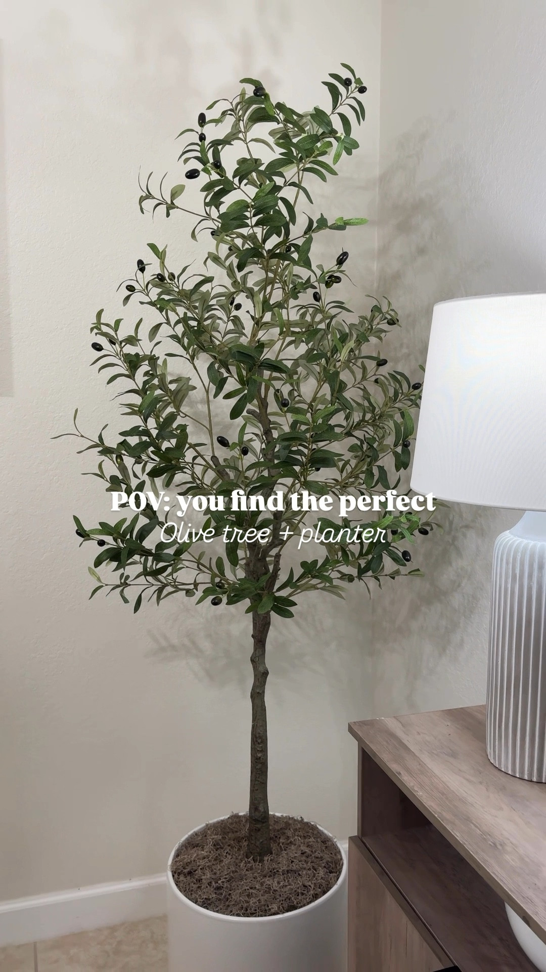 this Olive tree is a major upgrade✨ such good quality & fills this space perfectly. We have the 6ft and it’s the perfect size! Brings so much warmth to our home now & the player color is 🤌🏼✨🤎

#LTKVideo #LTKHome #LTKSeasonal