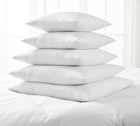 Down Alternative Square Pillow Inserts | Pottery Barn (US)