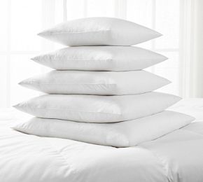 Down Alternative Square Pillow Inserts | Pottery Barn (US)