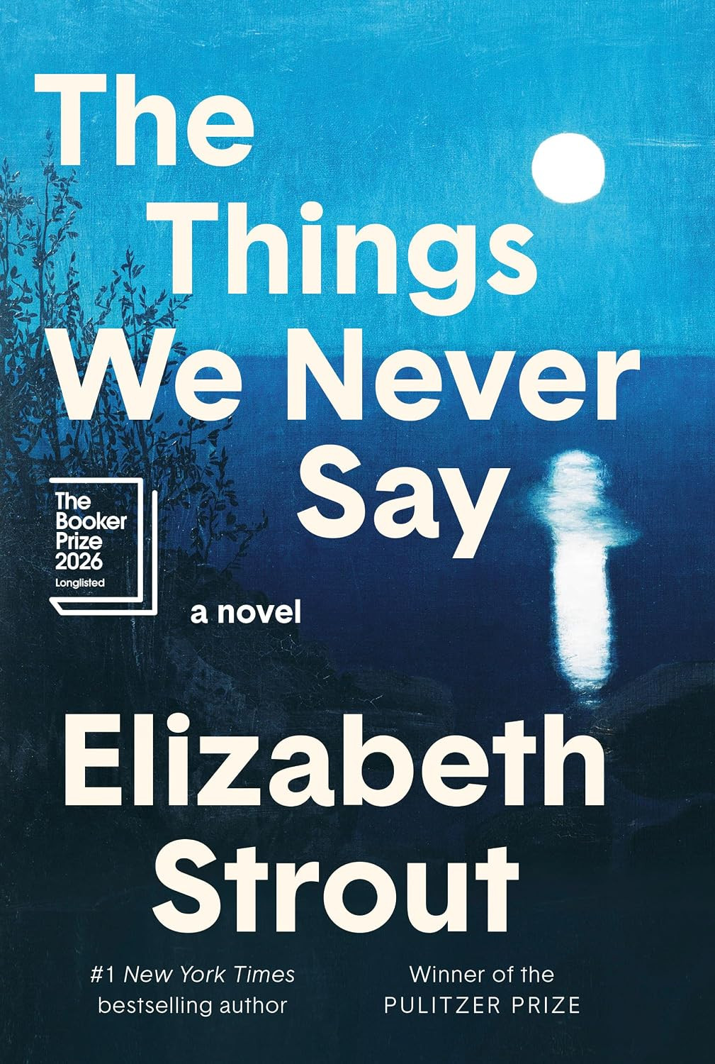 The Things We Never Say: A Novel | Amazon (US)