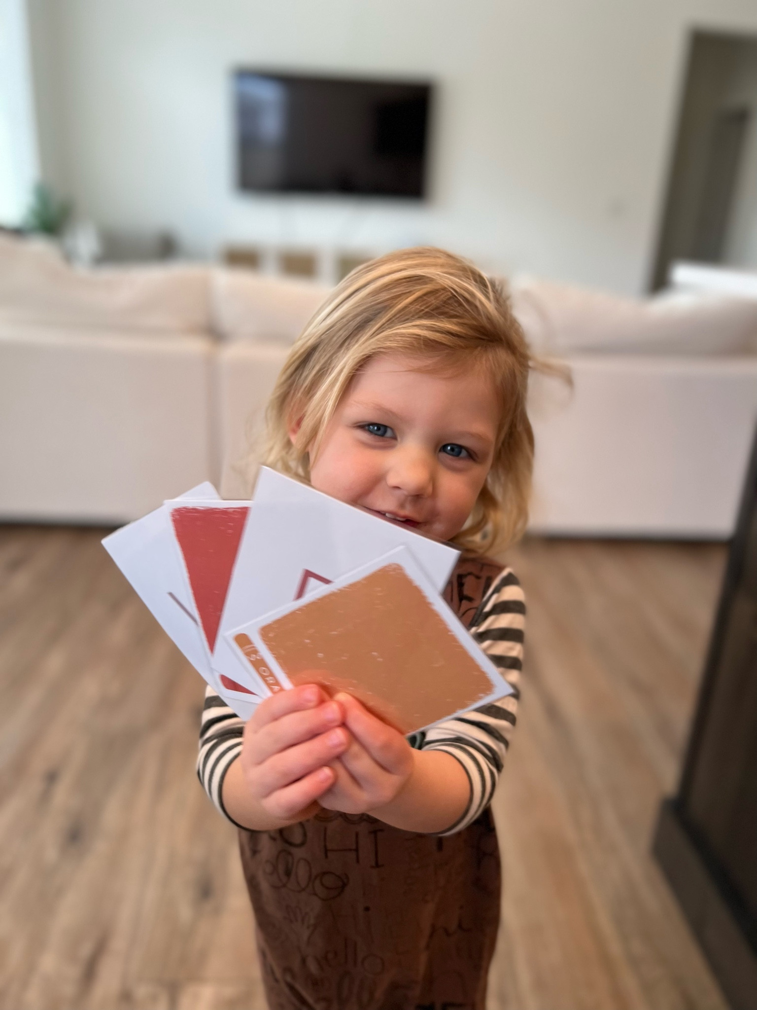 Our favorite Montessori flash cards!!