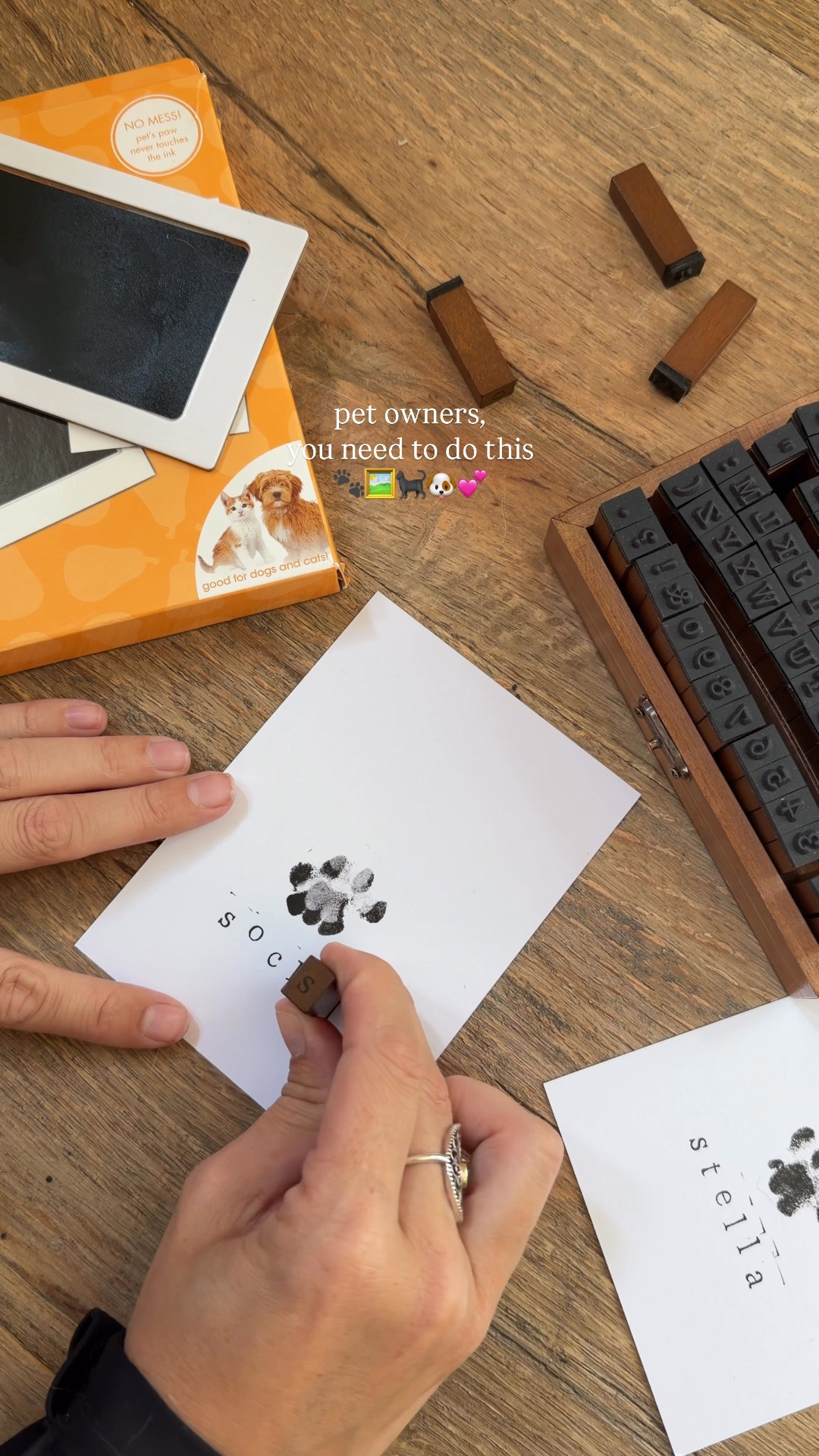 Pet owners, you gotta do this! #petlover #cats #pet 

#LTKSeasonal #LTKHome