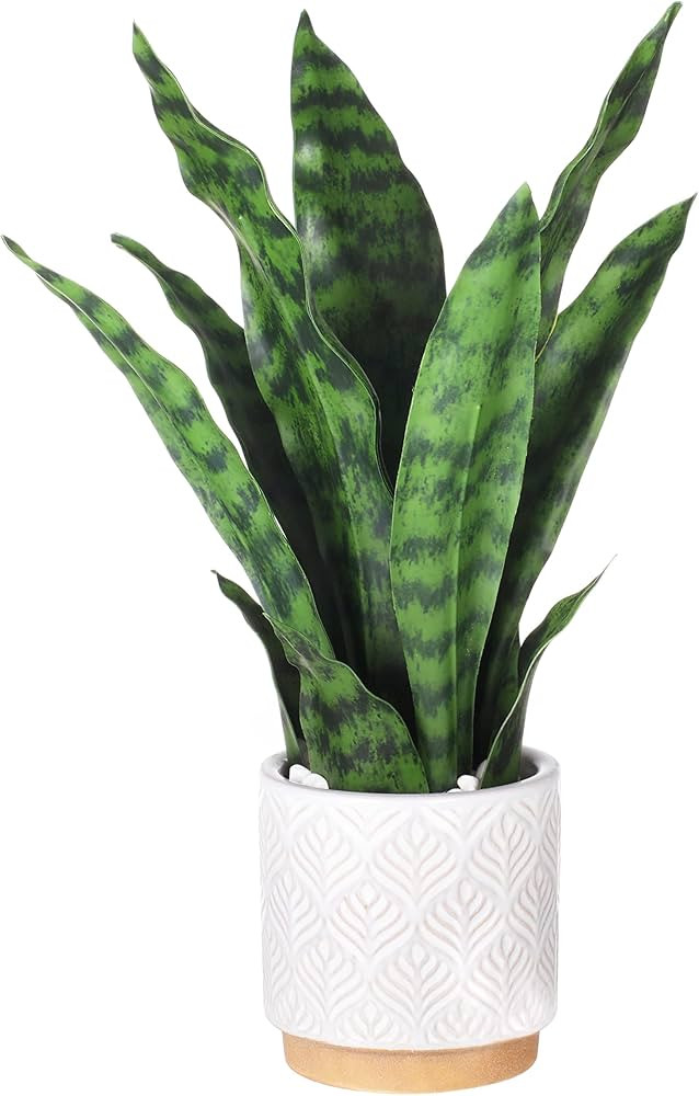 Artificial Snake Plants 16" with White Ceramic Pot Sansevieria Plant Fake Snake Plant Greenery Fa... | Amazon (US)