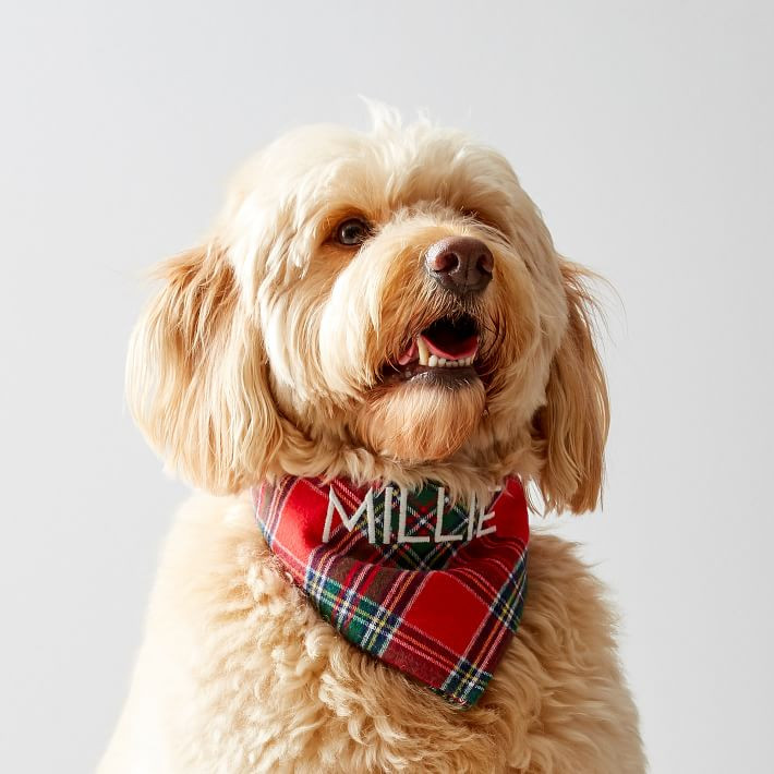 Plaid Dog Bandana | Mark and Graham