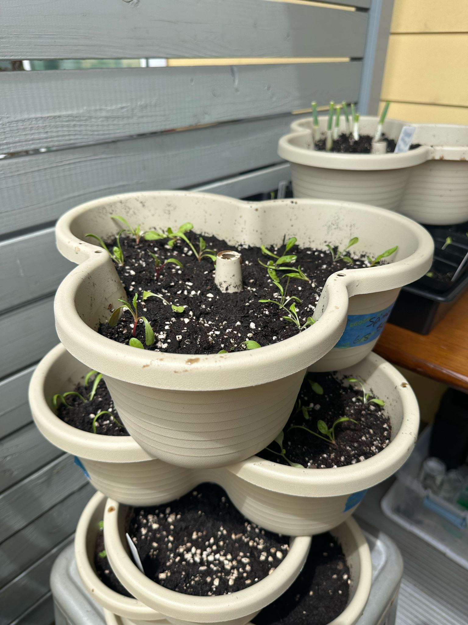 5 tier planter for my balcony garden👩🏽‍🌾

#LTKHome